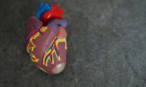 What Are the Best Supplements for High Blood Pressure?