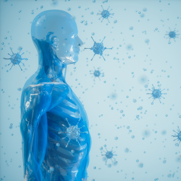 Immune System Supplements