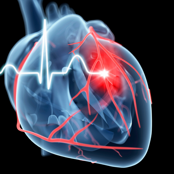 Heart Health Supplements